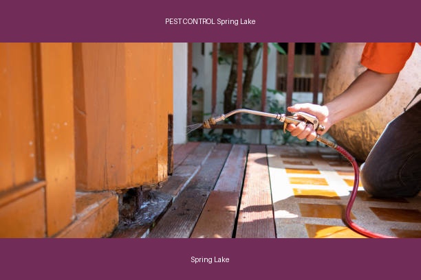 PEST CONTROL Spring Lake